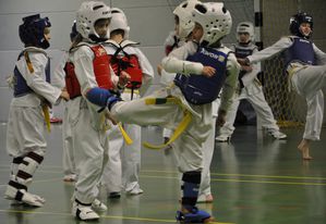 4-Taekwondo-Lehrgang-Mainfranken-Bild-1.jpg