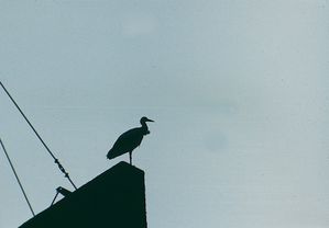 c01.jpg