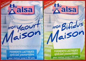 2010.07.19 yaourts maison