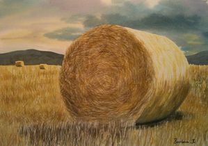 aquarelle_foin-copie-1.jpg