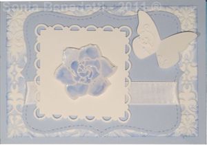 carte bleu timide