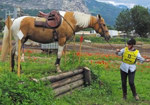 Anja contrebas 1 - Copie R
