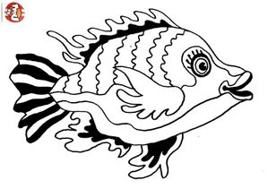poisson07.jpg