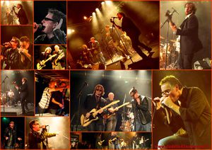 chillidogs-spectacle-mosaique.jpg