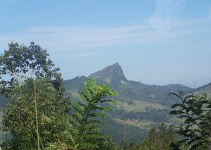 SRI-LANKA-2-258.JPG