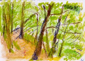 Web0004ARBRE-C-w.jpg
