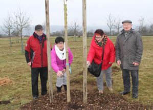 Jahresbaum2015 Baumpaten