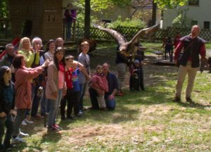 FruehlingsfestGreifvogelschau 02 Steppenadler 05 b