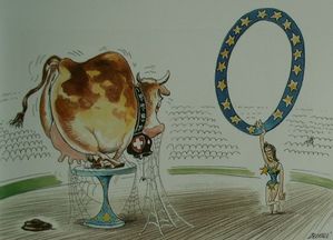 L-Europe-vue-par-les-suisses-3.JPG