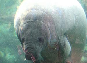 00-beauval-2-1451.jpg