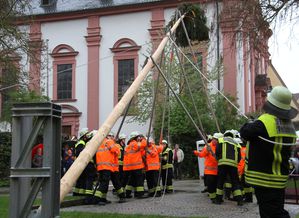 Maibaumaufstellung 12