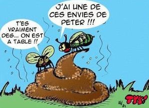 mouches_a_merde_dessin.jpg
