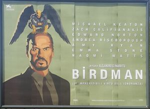 V14-Birdman52.jpg