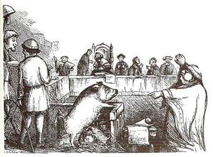 animaux-du-tribunal