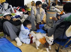 survivant-seisme-tsunami-sendai-japon-copie-1.jpg