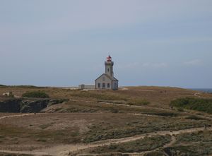 _6237845.JPG