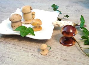champignons--9-.JPG