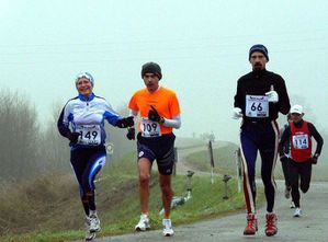bagnacavallo_2011.jpg