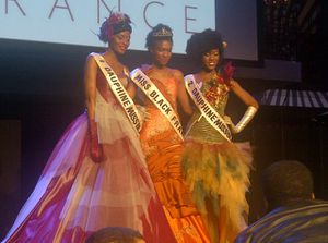 Miss black france 2012 image 2
