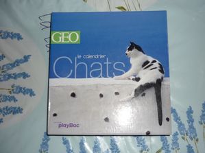 P1050308