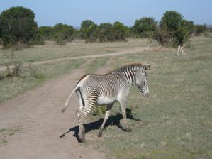 Kenia-Tanzania. Keti 137 Vista Web grande