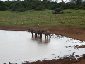 Kenia-Tanzania.Sito1 046 Vista Web grande