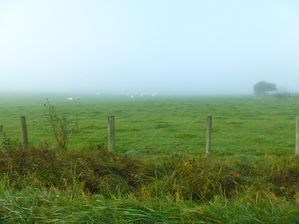 P1120309