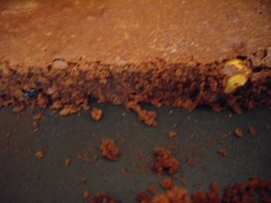 mars-2010-015.JPG