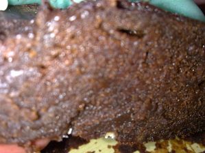 20102010141.jpg