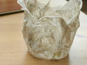 DSCN7144.JPG