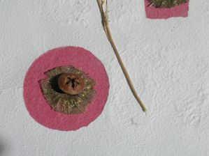 DSCN7050