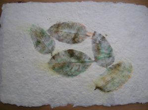 feuille journal de voyage 015