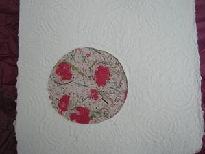 DSCN6851