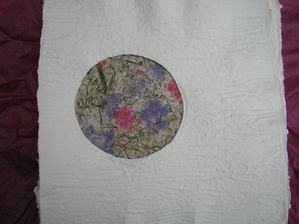 DSCN6852