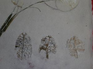 papier aout algue et autres 006