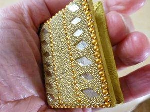 livre-miniature1---reduc1.JPG