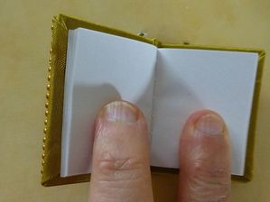 livre-miniature3---reduc1.JPG