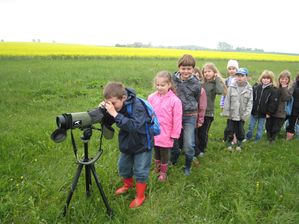 observation