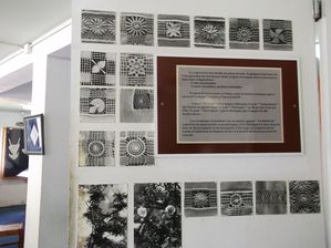 DSCF1377