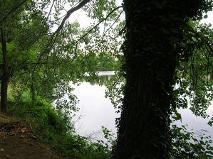 ballade-ne-bord-de-Vienne.JPG