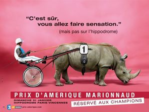 Campagne-du-Prix-dAmerique-Marionnaud-2010-rhino.jpg