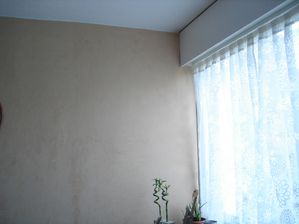 DSC09407.JPG