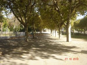 GREVE EBOUEURS 003