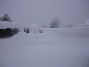 decembre-2010-023.jpg
