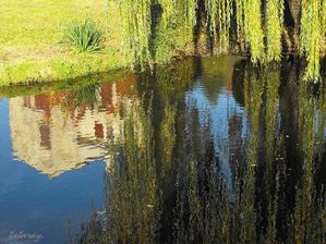 DSCF1135R.JPG