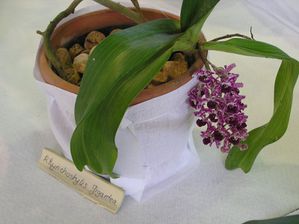 20030101_35.JPG