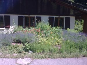 La-FlatiereLa-nature.jpg