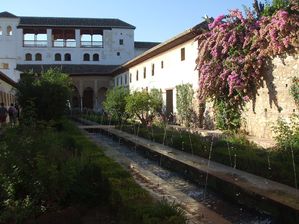 DSCF9390.JPG