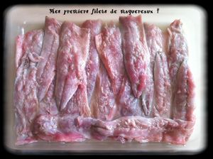 filets de maquereaux