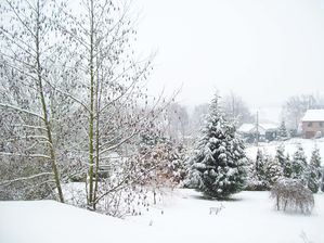 100_1279.JPG